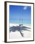 Swing on the Beach Above Palm Tree Shadow-null-Framed Photographic Print