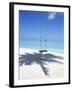 Swing on the Beach Above Palm Tree Shadow-null-Framed Photographic Print