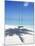 Swing on the Beach Above Palm Tree Shadow-null-Mounted Photographic Print