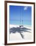 Swing on the Beach Above Palm Tree Shadow-null-Framed Photographic Print