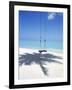 Swing on the Beach Above Palm Tree Shadow-null-Framed Photographic Print