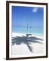 Swing on the Beach Above Palm Tree Shadow-null-Framed Photographic Print