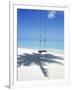 Swing on the Beach Above Palm Tree Shadow-null-Framed Photographic Print