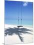 Swing on the Beach Above Palm Tree Shadow-null-Mounted Photographic Print