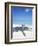 Swing on the Beach Above Palm Tree Shadow-null-Framed Photographic Print