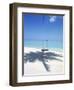 Swing on the Beach Above Palm Tree Shadow-null-Framed Photographic Print