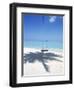 Swing on the Beach Above Palm Tree Shadow-null-Framed Photographic Print