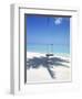 Swing on the Beach Above Palm Tree Shadow-null-Framed Photographic Print