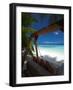 Swing on Tropical Beach, Maldives, Indian Ocean, Asia-Sakis Papadopoulos-Framed Photographic Print