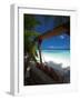 Swing on Tropical Beach, Maldives, Indian Ocean, Asia-Sakis Papadopoulos-Framed Photographic Print