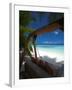 Swing on Tropical Beach, Maldives, Indian Ocean, Asia-Sakis Papadopoulos-Framed Photographic Print