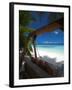 Swing on Tropical Beach, Maldives, Indian Ocean, Asia-Sakis Papadopoulos-Framed Photographic Print