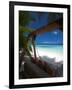 Swing on Tropical Beach, Maldives, Indian Ocean, Asia-Sakis Papadopoulos-Framed Photographic Print