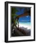 Swing on Tropical Beach, Maldives, Indian Ocean, Asia-Sakis Papadopoulos-Framed Photographic Print