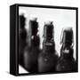 Swing-Top Beer Bottles-Stefan Braun-Framed Stretched Canvas