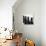 Swing-Top Beer Bottles-Stefan Braun-Stretched Canvas displayed on a wall