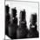 Swing-Top Beer Bottles-Stefan Braun-Mounted Photographic Print