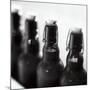 Swing-Top Beer Bottles-Stefan Braun-Mounted Photographic Print