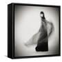 Swing-Mel Brackstone-Framed Stretched Canvas