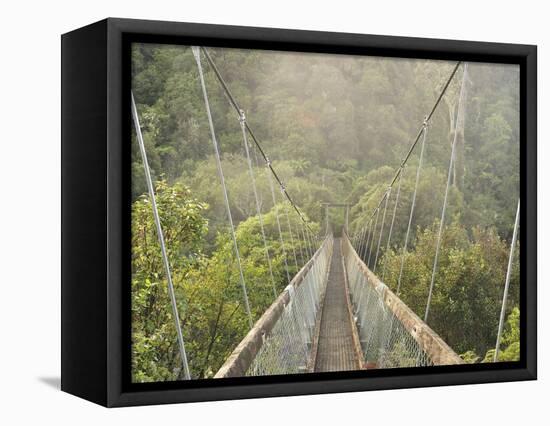 Swingbridge, Motu Falls, Motu, Gisborne, North Island, New Zealand, Pacific-Jochen Schlenker-Framed Stretched Canvas