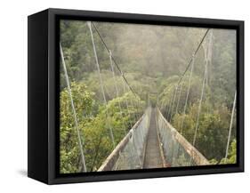 Swingbridge, Motu Falls, Motu, Gisborne, North Island, New Zealand, Pacific-Jochen Schlenker-Framed Stretched Canvas