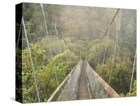 Swingbridge, Motu Falls, Motu, Gisborne, North Island, New Zealand, Pacific-Jochen Schlenker-Stretched Canvas