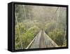 Swingbridge, Motu Falls, Motu, Gisborne, North Island, New Zealand, Pacific-Jochen Schlenker-Framed Stretched Canvas