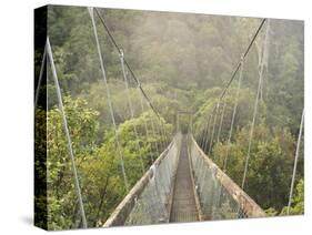 Swingbridge, Motu Falls, Motu, Gisborne, North Island, New Zealand, Pacific-Jochen Schlenker-Stretched Canvas
