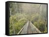 Swingbridge, Motu Falls, Motu, Gisborne, North Island, New Zealand, Pacific-Jochen Schlenker-Framed Stretched Canvas