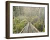 Swingbridge, Motu Falls, Motu, Gisborne, North Island, New Zealand, Pacific-Jochen Schlenker-Framed Premium Photographic Print