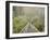 Swingbridge, Motu Falls, Motu, Gisborne, North Island, New Zealand, Pacific-Jochen Schlenker-Framed Premium Photographic Print