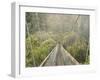 Swingbridge, Motu Falls, Motu, Gisborne, North Island, New Zealand, Pacific-Jochen Schlenker-Framed Premium Photographic Print