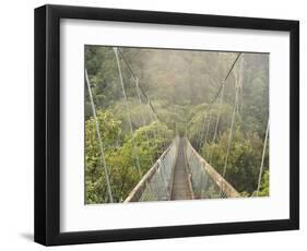 Swingbridge, Motu Falls, Motu, Gisborne, North Island, New Zealand, Pacific-Jochen Schlenker-Framed Photographic Print