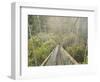 Swingbridge, Motu Falls, Motu, Gisborne, North Island, New Zealand, Pacific-Jochen Schlenker-Framed Photographic Print