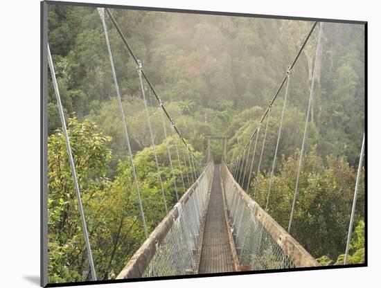 Swingbridge, Motu Falls, Motu, Gisborne, North Island, New Zealand, Pacific-Jochen Schlenker-Mounted Photographic Print