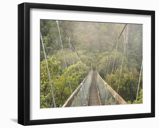 Swingbridge, Motu Falls, Motu, Gisborne, North Island, New Zealand, Pacific-Jochen Schlenker-Framed Photographic Print