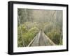 Swingbridge, Motu Falls, Motu, Gisborne, North Island, New Zealand, Pacific-Jochen Schlenker-Framed Photographic Print