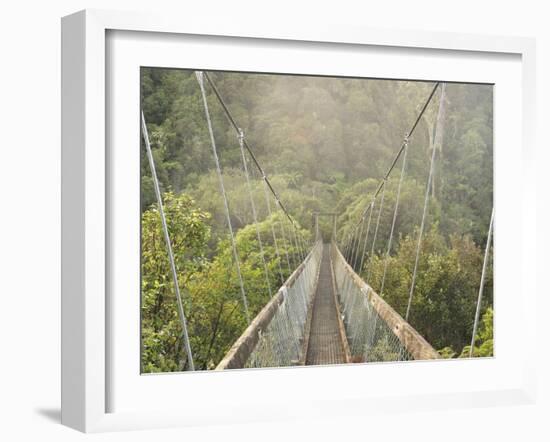 Swingbridge, Motu Falls, Motu, Gisborne, North Island, New Zealand, Pacific-Jochen Schlenker-Framed Photographic Print