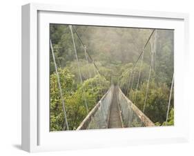 Swingbridge, Motu Falls, Motu, Gisborne, North Island, New Zealand, Pacific-Jochen Schlenker-Framed Photographic Print