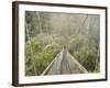 Swingbridge, Motu Falls, Motu, Gisborne, North Island, New Zealand, Pacific-Jochen Schlenker-Framed Photographic Print