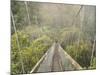 Swingbridge, Motu Falls, Motu, Gisborne, North Island, New Zealand, Pacific-Jochen Schlenker-Mounted Photographic Print