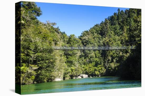 Swinging Bridge, Abel Tasman National Park, South Island, New Zealand, Pacific-Michael-Stretched Canvas