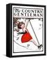 "Swinging in the Apple Tree," Country Gentleman Cover, August 15, 1925-Sarah Stilwell Weber-Framed Stretched Canvas