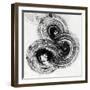 Swirl About-Dario Moschetta-Framed Giclee Print