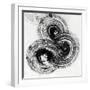 Swirl About-Dario Moschetta-Framed Giclee Print