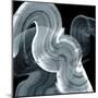 Swirl II-PI Studio-Mounted Art Print