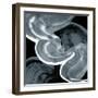 Swirl III-PI Studio-Framed Art Print