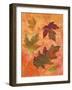 Swirling Autumn Leaves-Bee Sturgis-Framed Art Print
