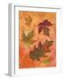 Swirling Autumn Leaves-Bee Sturgis-Framed Art Print