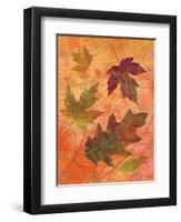 Swirling Autumn Leaves-Bee Sturgis-Framed Art Print